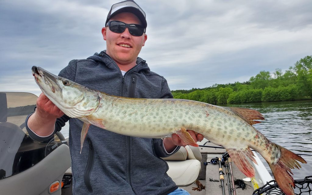 Musky fishing with Kilbourn Guide Service